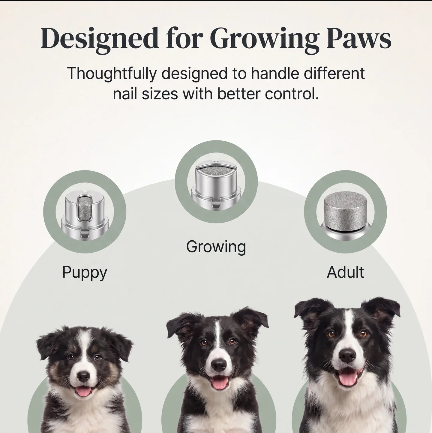 PawSight Pro™ — 2-in-1 LED Pet Nail Clipper & Grinder